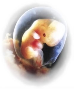 Blogger jokes about her aborted child meeting ‘mutant goldfish’ in sewers image