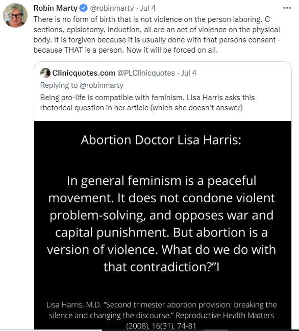 Mothers balk at abortion advocate’s ‘misogynist’ claim that ‘birth is violence’ image