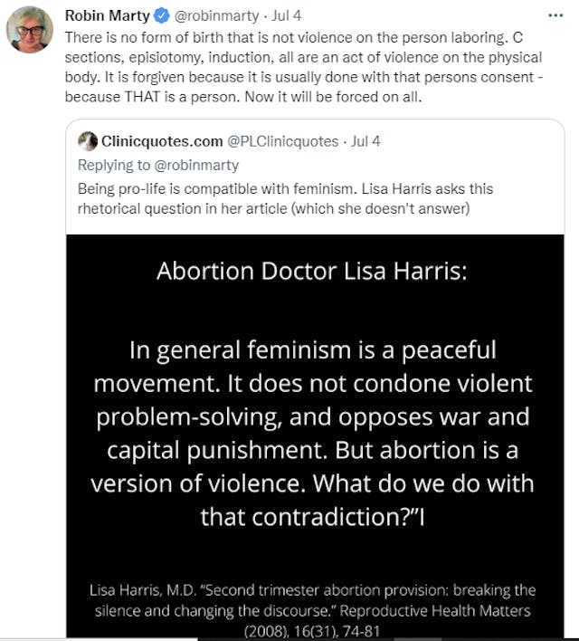 Mothers balk at abortion advocate’s ‘misogynist’ claim that ‘birth is violence’ image