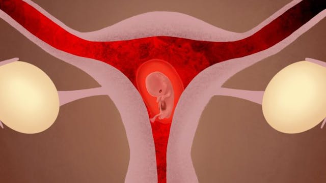 WATCH: Live Action’s new video series explains what women should know about the abortion pill image