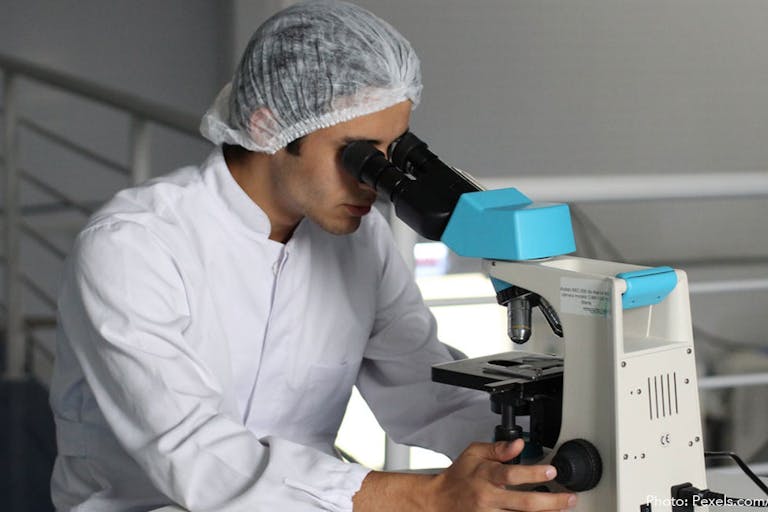 research, aborted fetal body parts