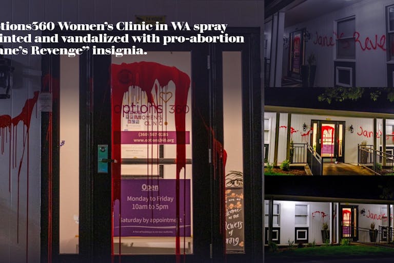 Image: Options360 Women's Clinic prolife offices vandalized with pro-abortion message "Janes Revenge"