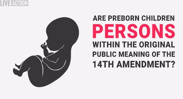 Screenshot: Live Action WATCH: Pro-Life Replies counters the claim, ‘Abortion is a constitutional right’ image