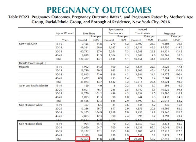 New York City abortion v live births, of Black babies 2016 (Graph: NYC Vital Statistics) Image: New York City abortion v live births, 2016 (Graph: NYC Vital Statistics)