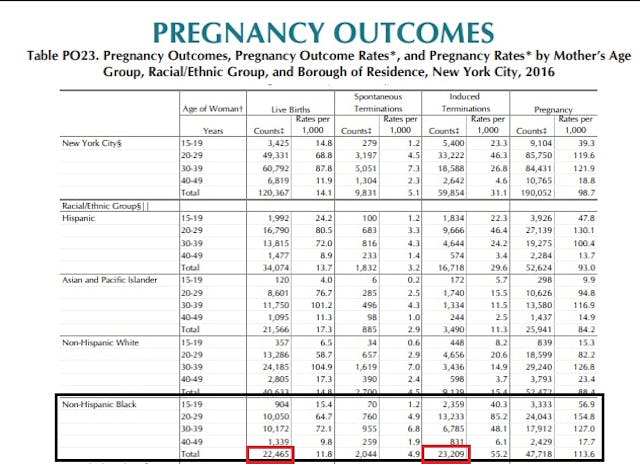 Image: New York City abortion v live births, 2016 (Graph: NYC Vital Statistics)