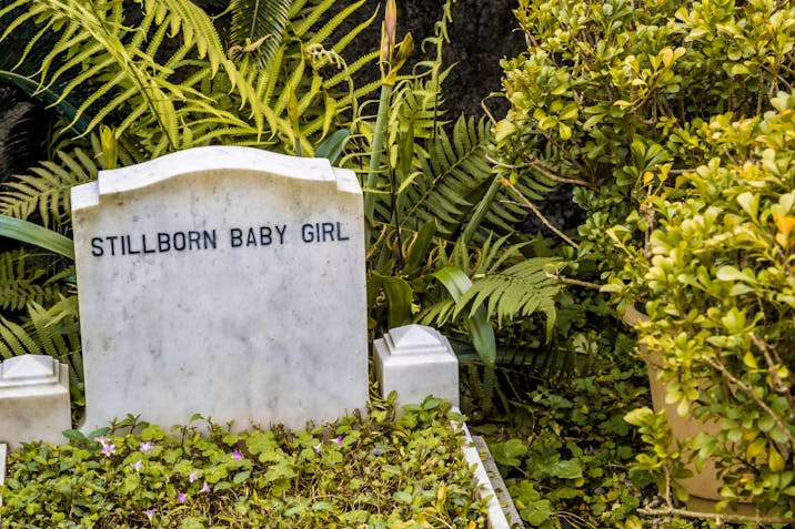 pregnancy loss
