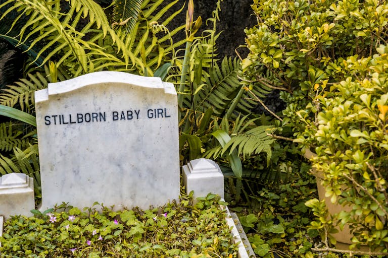 pregnancy loss