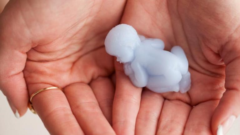 embryo ashes