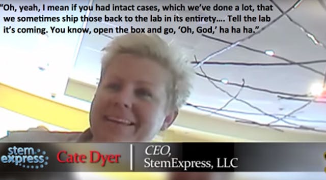 stem-express