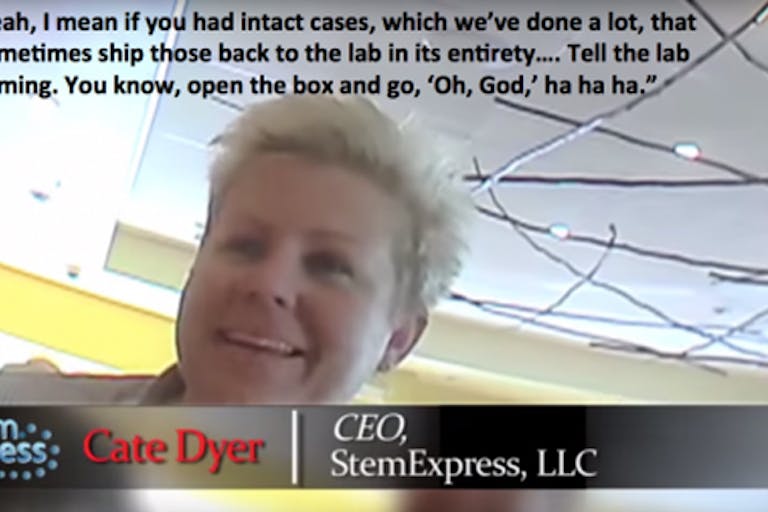 stem-express
