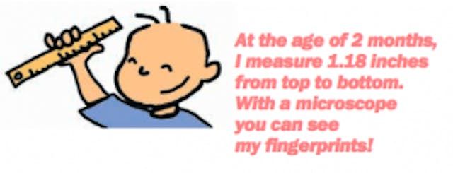 (Credit: Jerome Lejeune Foundation)