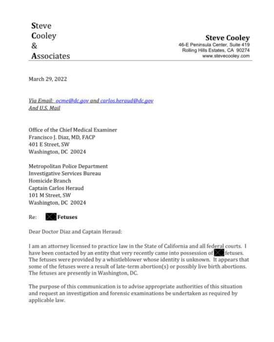 ‘Justice for the Five’: After more than 40 days, Metro PD has taken no action on aborted children image