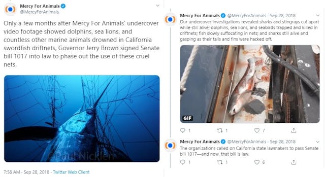 Image: Mercy for Animals Tweet undercover video (Image: twitter)