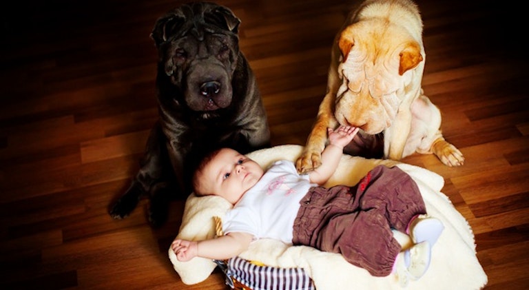 baby-dogs