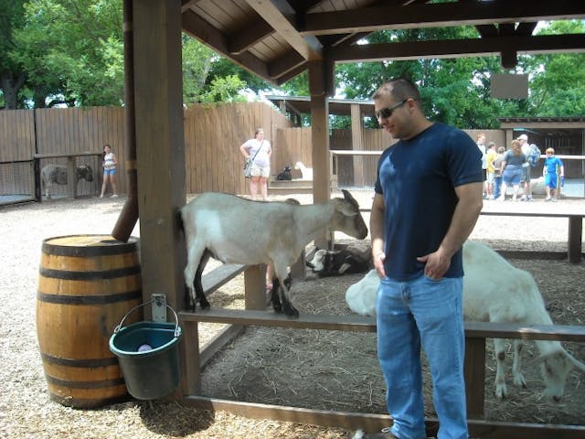 Goatpicture1