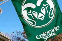 colorado-state
