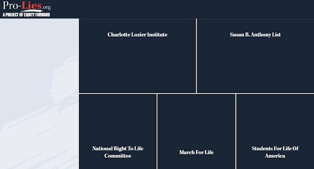 Image: Equity Forward website attacks pro-life groups