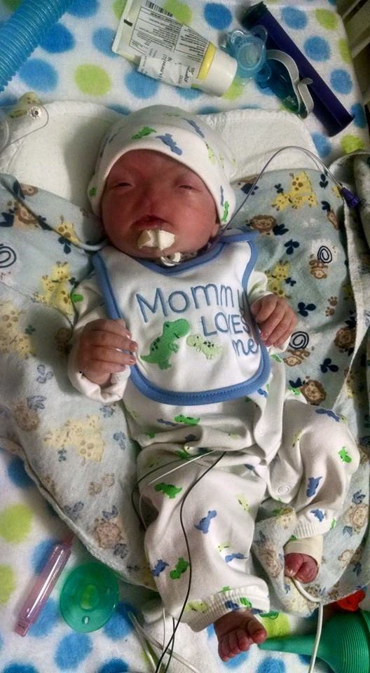 11062328_823379827735159_5126556450887316001_n