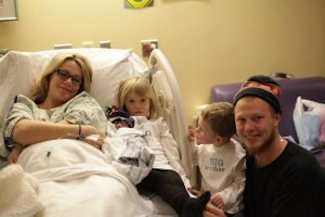 The Leaf Family. The Leaf Family.