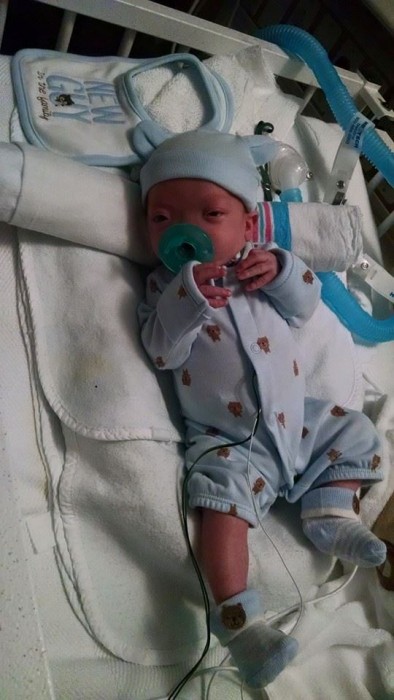 13375_825794030827072_8524201772309570317_n