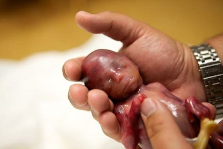 walter-in-dads-hands-560×372