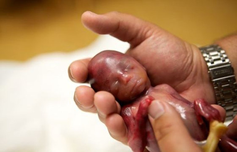 walter-in-dads-hands-560×372