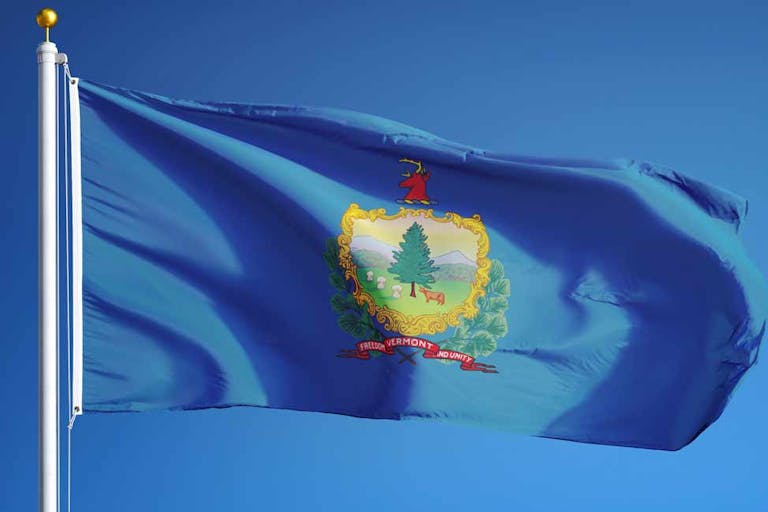 vermont abortion constitution