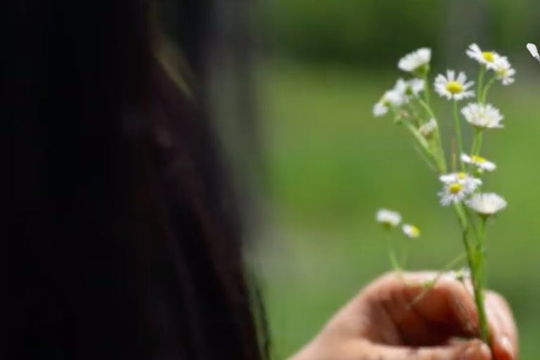 sarah post-abortion screenshot choice 42