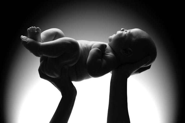abortion
