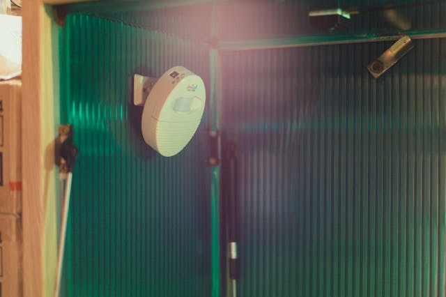 Photo Credit: David Kim