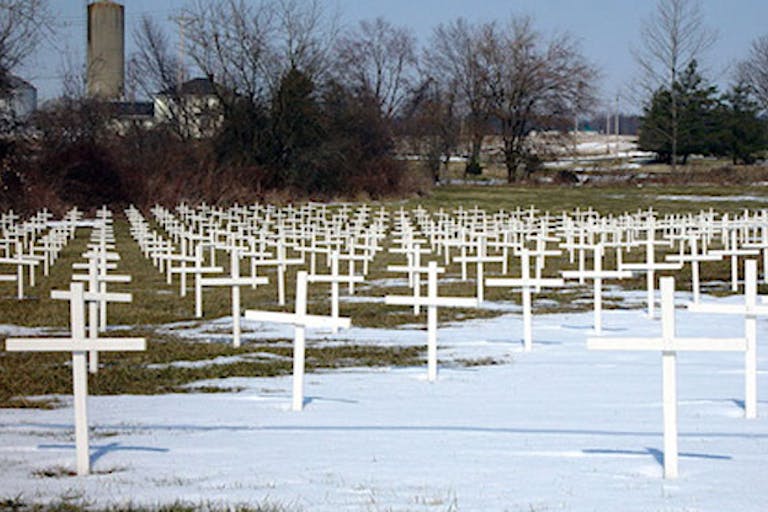 memorial-crosses-672
