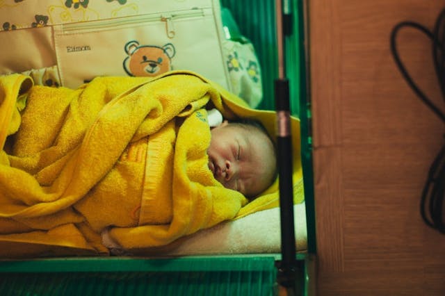 Photo Credit: David Kim