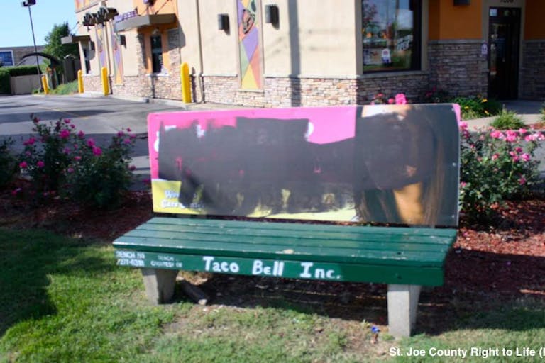 vandalized bench