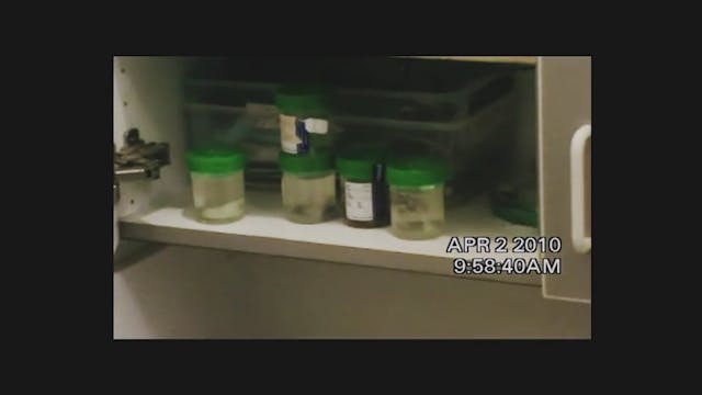 Bodies of thousands of preborn babies discovered in deceased abortionist’s home image