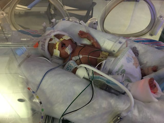 Photo courtesy of Carla Ricciardone. Photo courtesy of Carla Ricciardone.