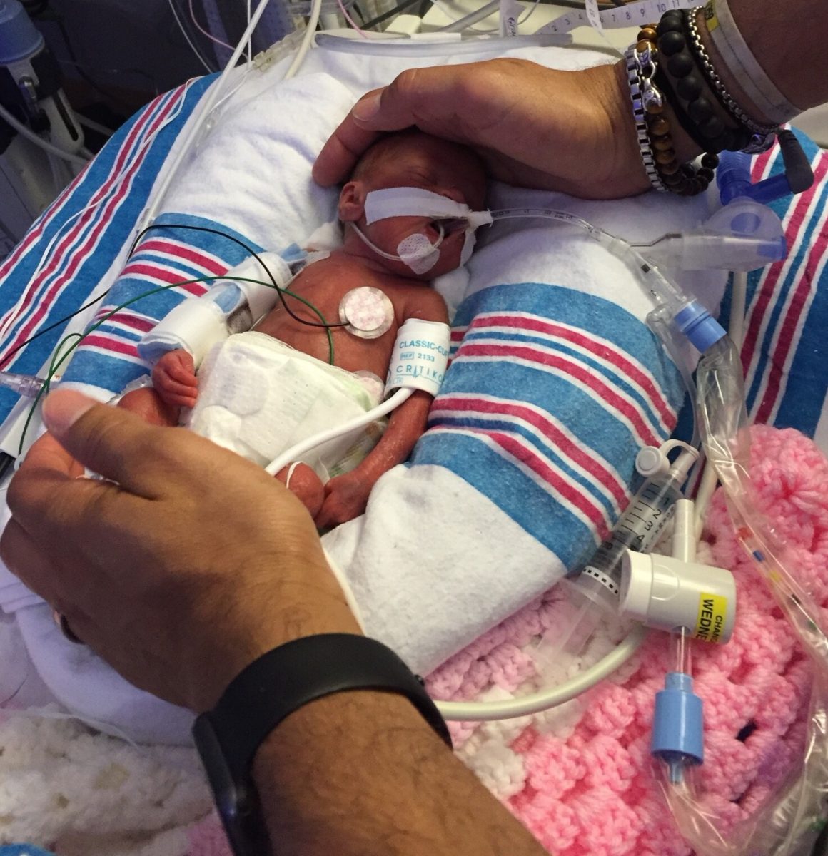 Photo courtesy of Carla Ricciardone.