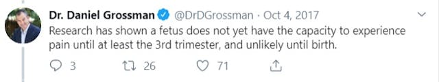 Daniel Grossman claims a fetus cannot feel pain until birth, but does not explain why (Image: Twitter) Image: Daniel Grossman fetus cannot feel pain until birth ( Image: Twitter)
