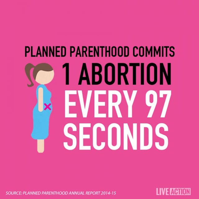 every 97 seconds