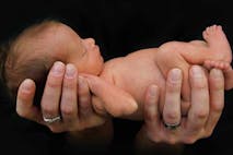conscience protections, abortion, safe haven, born alive, euthanized