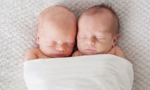 shutterstock_259725962