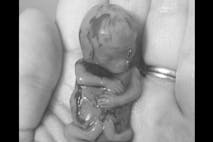 Screen shot 2016-08-31 at 12.11.44 PM