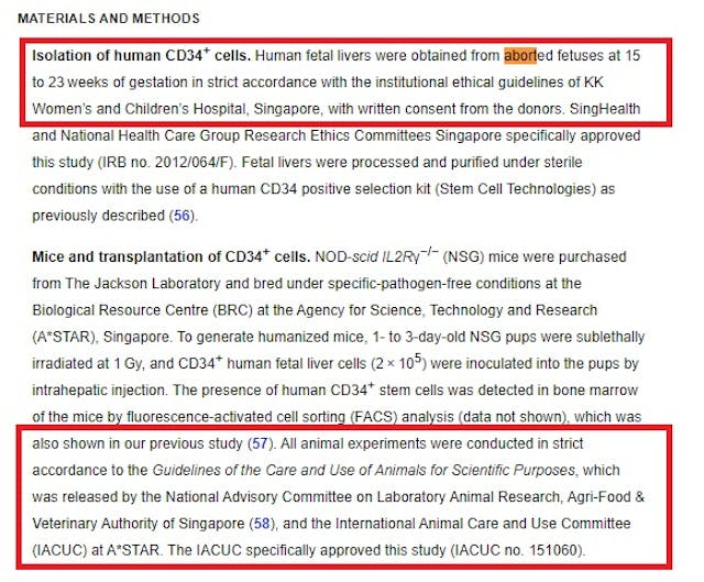 Image: American Society for Microbiology Image: American Society for Microbiology