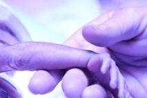 birth, abortion, preemie, Illinois, New York, Virginia