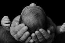 adoption