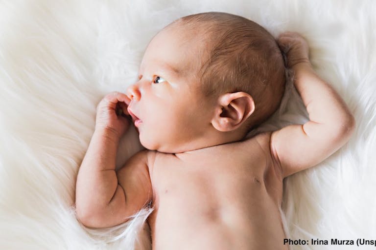 IVF, surrogacy, surrogate