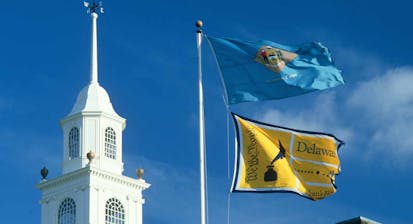 Delaware flag