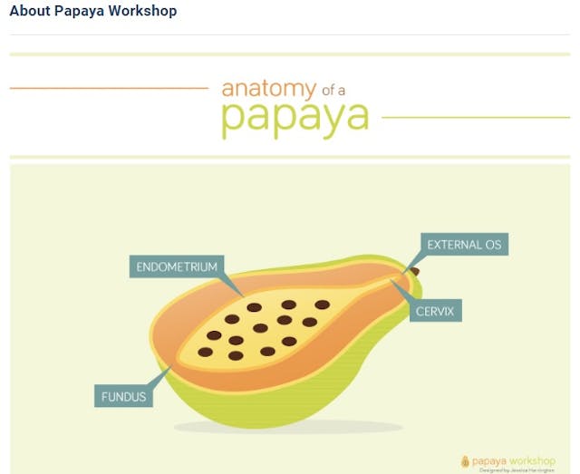 UCSF Innovating Education Papaya Workshop teaches abortion Image: UCSF Innovating Education Papaya Workshop teaches abortion