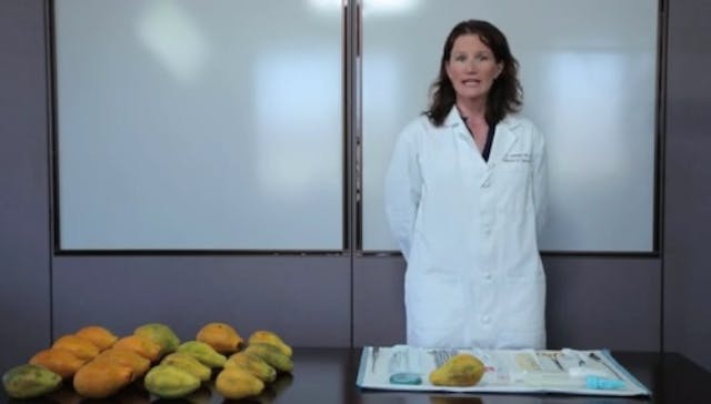 UCSF’s Jody Steinauer Papaya Workshop Image: UCSF's Jody Steinauer Papaya Workshop