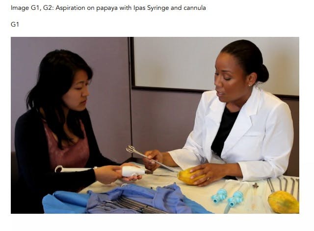 Aspiration abortion Papaya workshop Image: Aspiration abortion Papaya workshop
