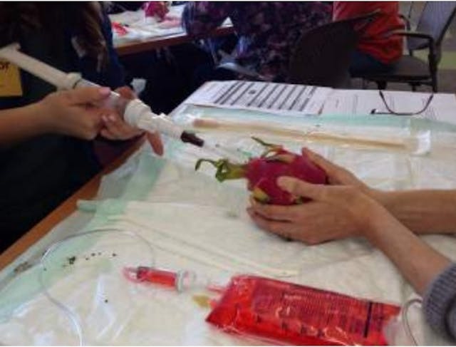 UCSF abortion training uses pitaya of dragonfruit to simulate abortion complications Image: UCSF abortion training uses pitaya of dragonfruit to simulate abortion complications
